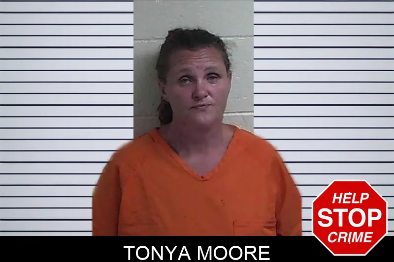 Tonya Moore mugshot – Fannin County , Georgia Tonya Moore mugshot