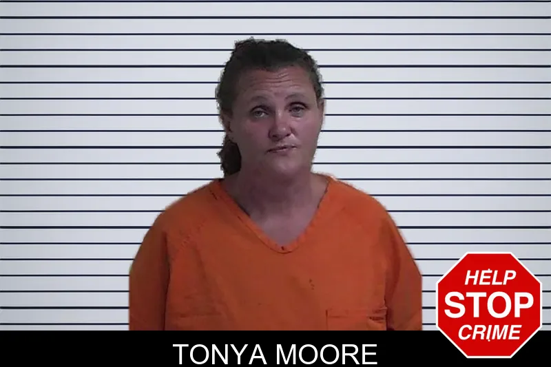 Tonya Moore mugshot – Fannin County , Georgia Tonya Moore mugshot