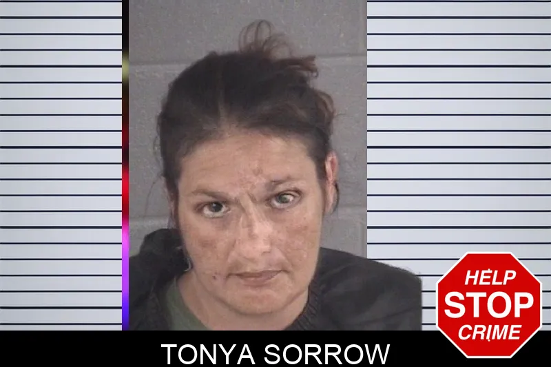 Tonya Sorrow mugshot