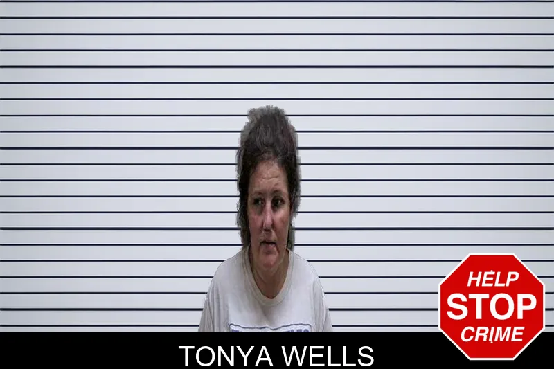 Tonya Wells mugshot