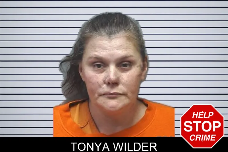 Tonya Wilder mugshot – Cherokee County , Georgia Tonya Wilder mugshot
