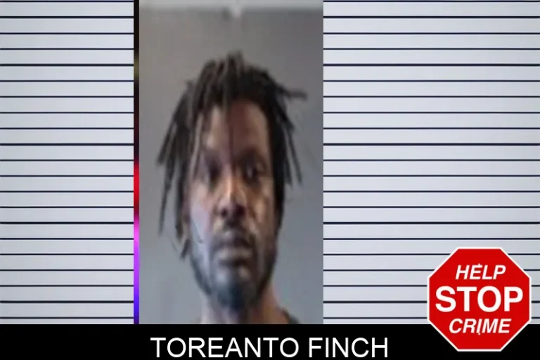 Toreanto Finch