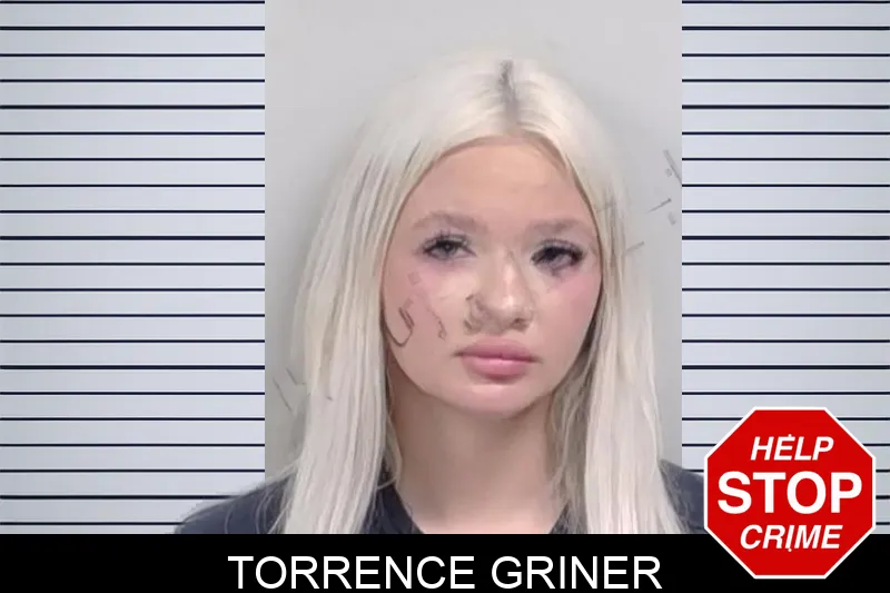Torrence Griner mugshot – Lowndes County , Georgia Torrence Griner mugshot