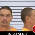 Totoo Wilsey mugshot