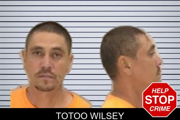 Totoo Wilsey