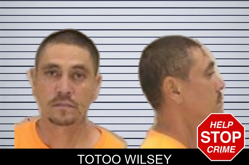 Totoo Wilsey mugshot