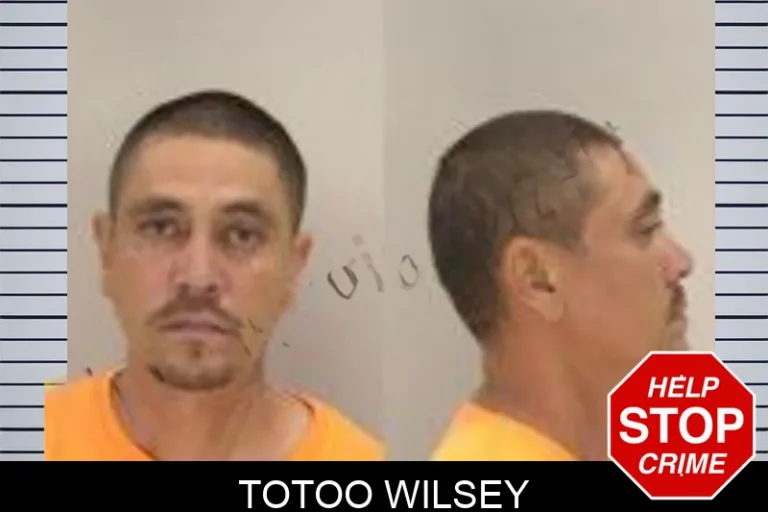 Totoo Wilsey