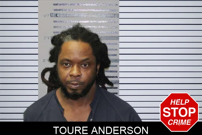 Toure Anderson mugshot