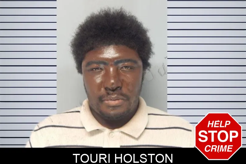 Touri Holston mugshot
