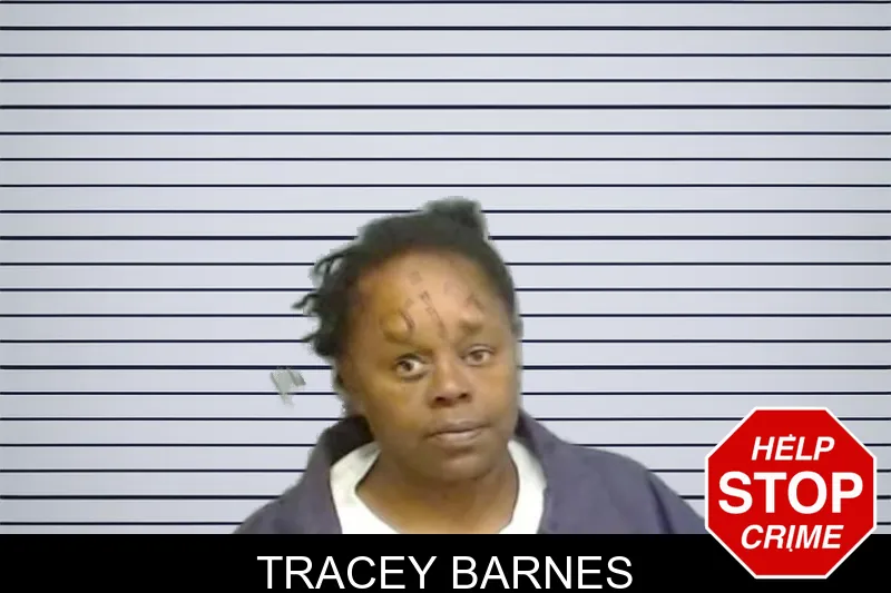 Tracey Barnes mugshot