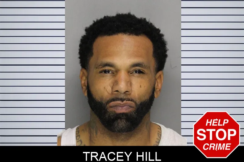 Tracey Hill mugshot