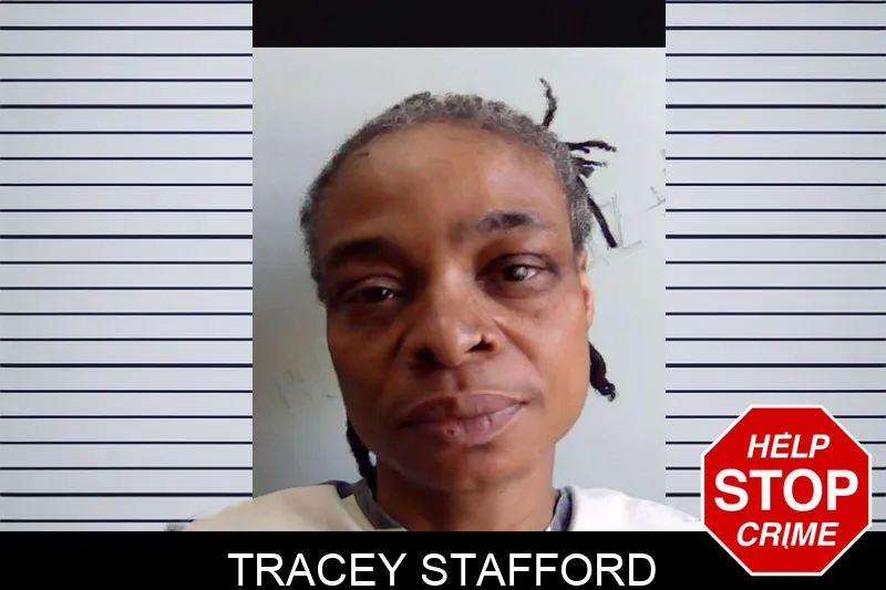 Tracey Stafford mugshot – Evans County , Georgia Tracey Stafford mugshot