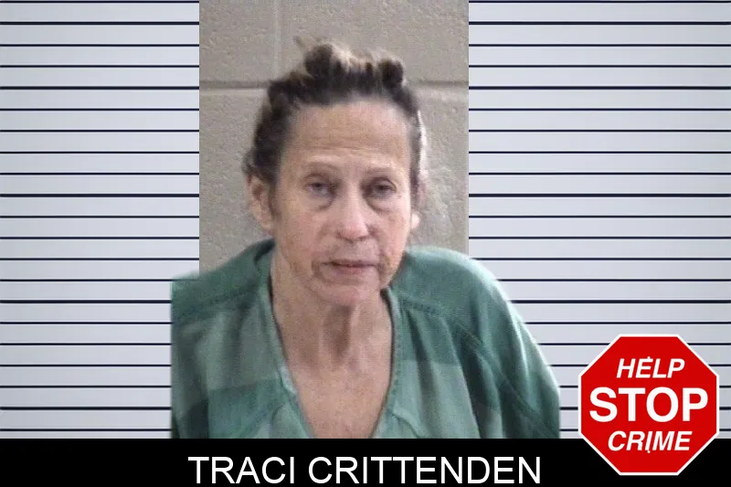 Traci Crittenden mugshot – Whitfield County , Georgia Traci Crittenden mugshot