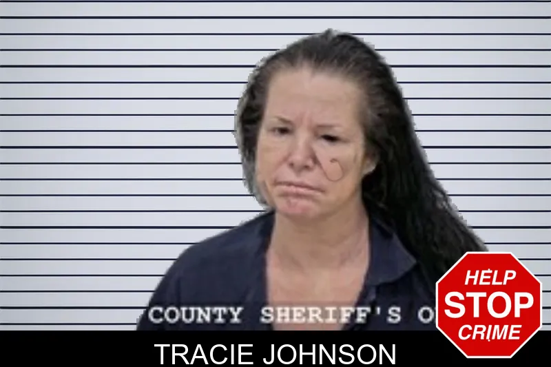 Tracie Johnson mugshot