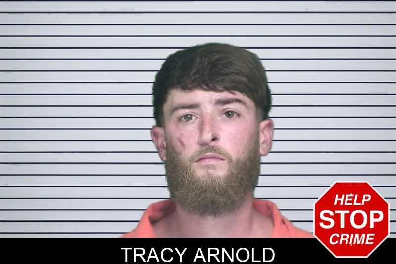 Tracy Arnold mugshot