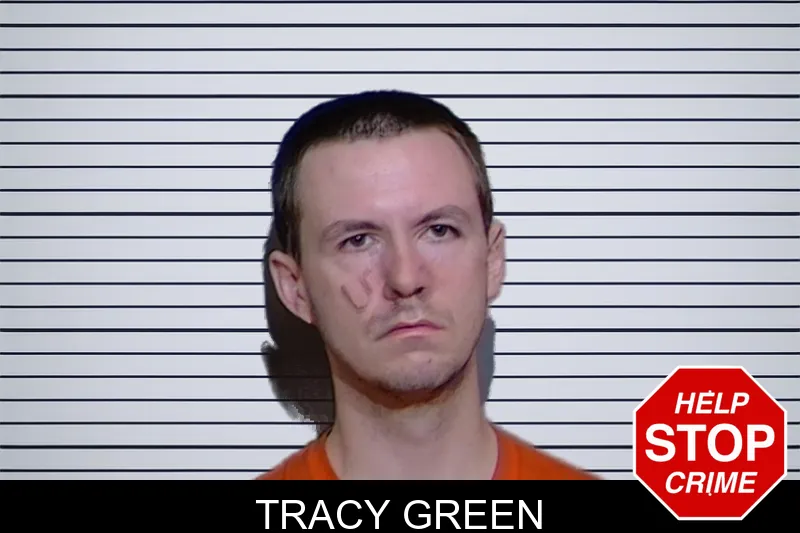 Tracy Green mugshot – Glynn County , Georgia Tracy Green mugshot