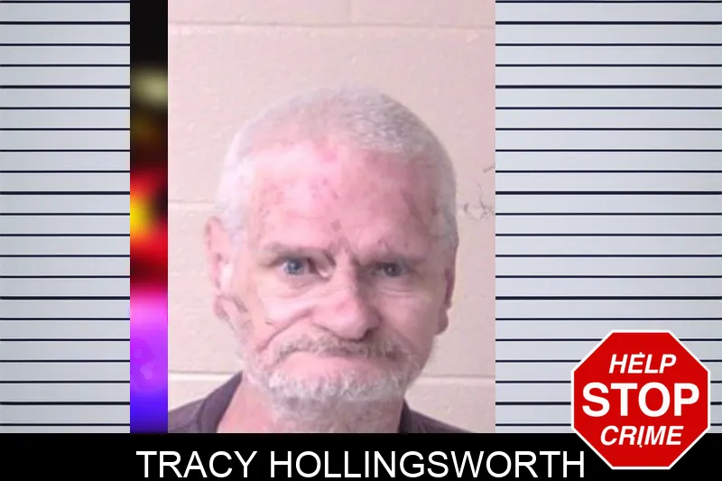 Tracy Hollingsworth mugshot