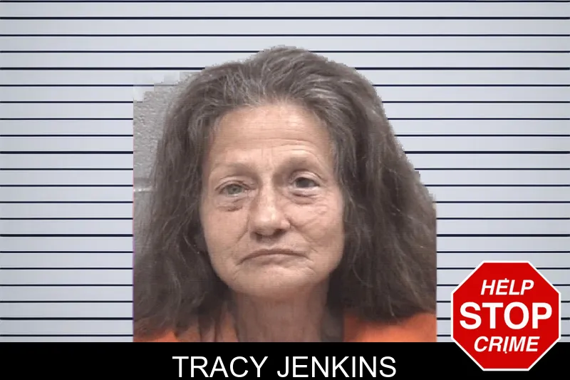 Tracy Jenkins mugshot