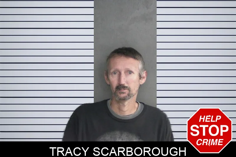 Tracy Scarborough mugshot – Twiggs County , Georgia Tracy Scarborough mugshot