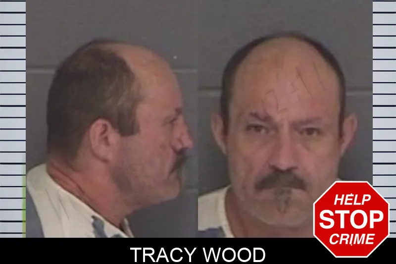 Tracy Wood mugshot
