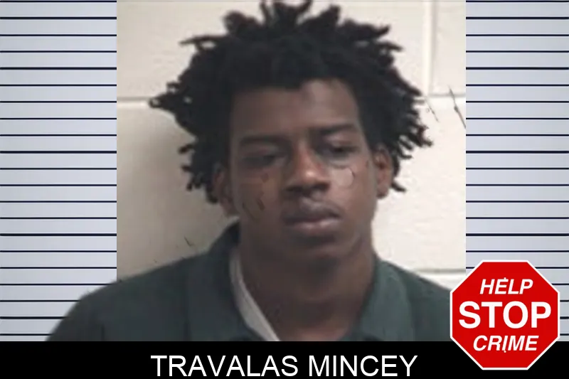 Travalas Mincey mugshot – Henry County , Georgia Travalas Mincey mugshot