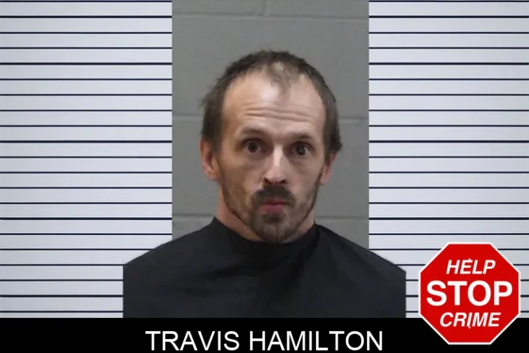 Travis Hamilton