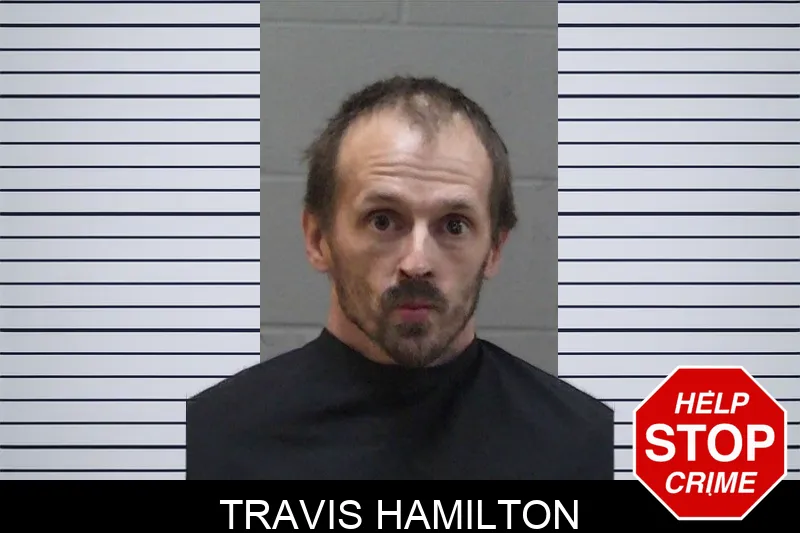 Travis Hamilton mugshot