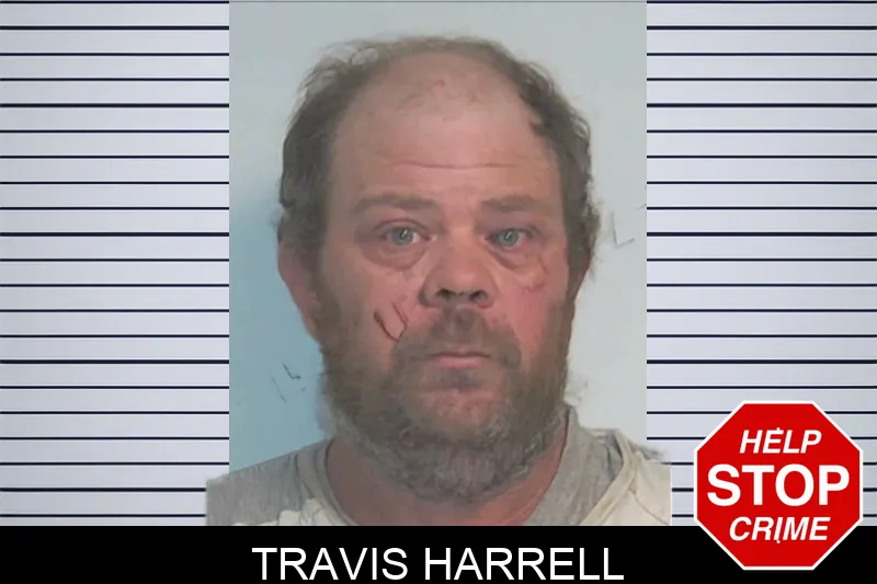 Travis Harrell mugshot – Berrien County , Georgia Travis Harrell mugshot