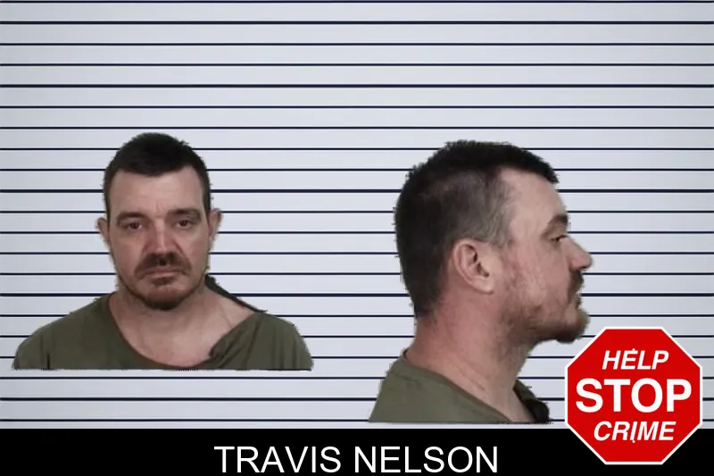 Travis Nelson mugshot