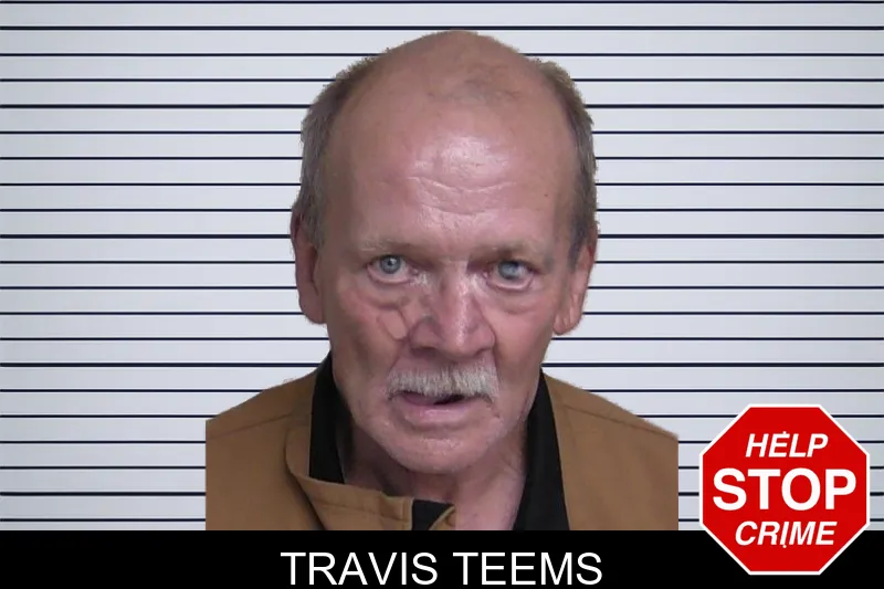 Travis Teems mugshot