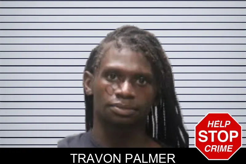 Travon Palmer mugshot