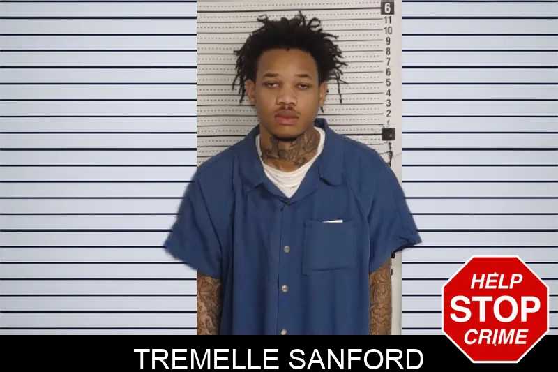 Tremelle Sanford mugshot – Rockdale County , Georgia Tremelle Sanford mugshot