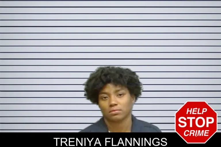 Treniya Flannings mugshot – Fulton County , Georgia Treniya Flannings