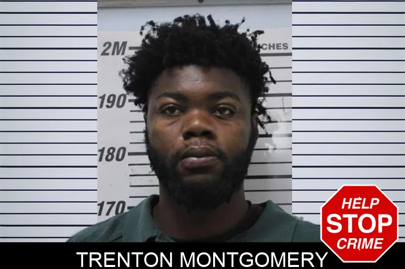 Trenton Montgomery mugshot – Colquitt County , Georgia Trenton Montgomery mugshot