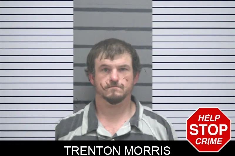 Trenton Morris mugshot