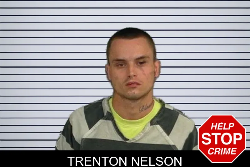 Trenton Nelson mugshot