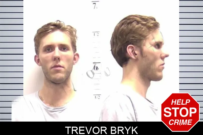 Trevor Bryk mugshot