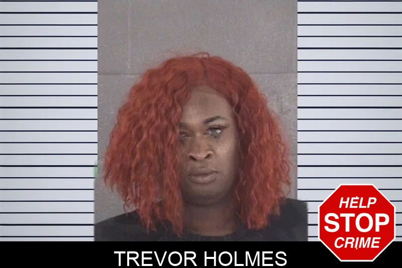 Trevor Holmes mugshot