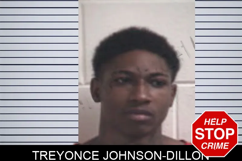 Treyonce Johnson-Dillon mugshot – Henry County , Georgia Treyonce Johnson-Dillon mugshot