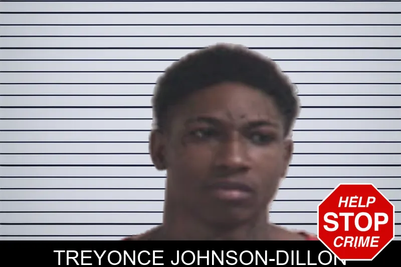 Treyonce Johnson-Dillon mugshot – Henry County , Georgia Treyonce Johnson-Dillon mugshot