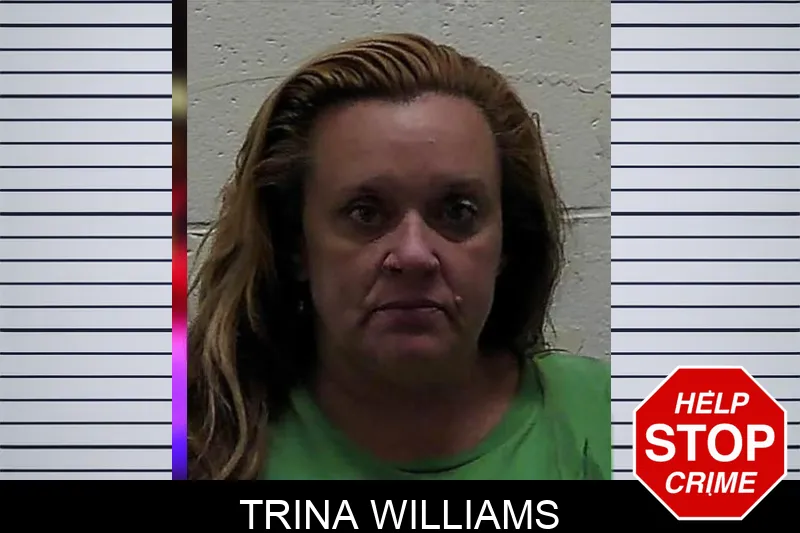 Trina Williams mugshot – Pierce County , Georgia Trina Williams mugshot