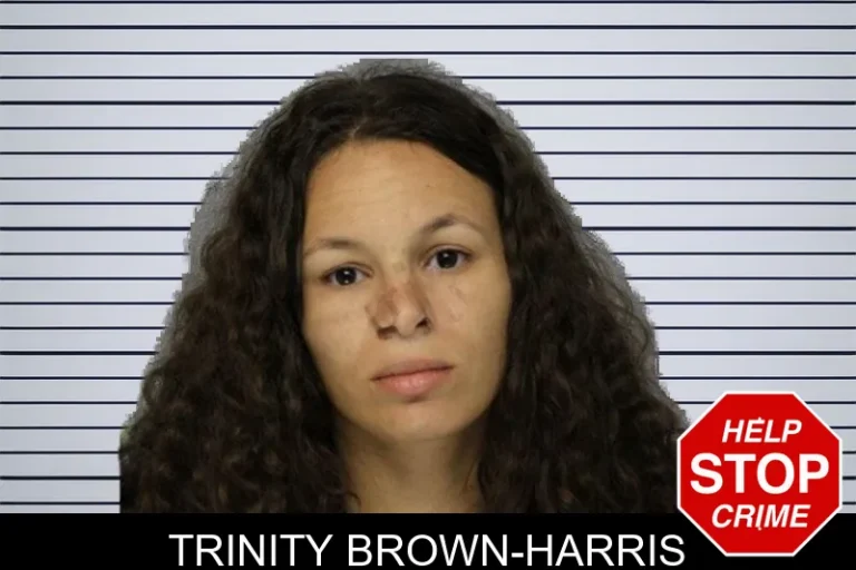 Trinity Brown-Harris mugshot – Hall County , Georgia Trinity Brown-Harris