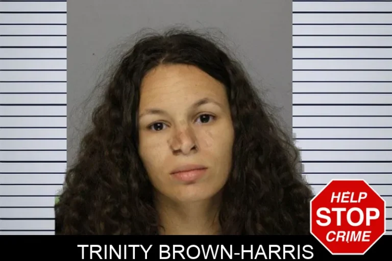 Trinity Brown-Harris mugshot – Hall County , Georgia Trinity Brown-Harris