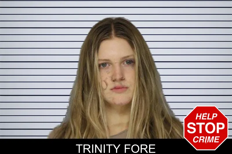 Trinity Fore mugshot – Hall County , Georgia Trinity Fore mugshot