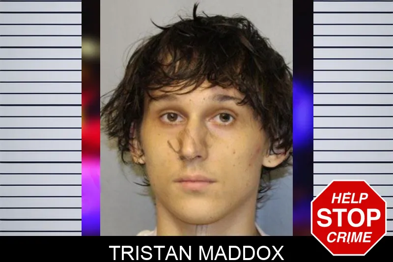 Tristan Maddox mugshot