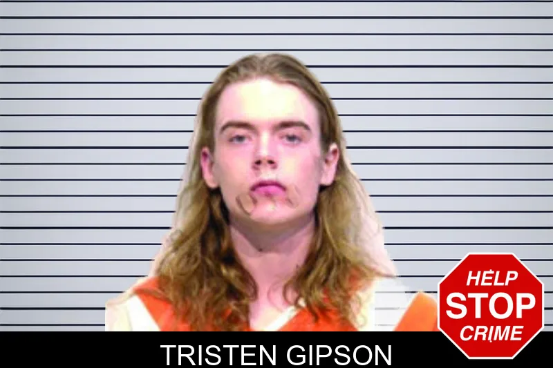 Tristen Gipson mugshot