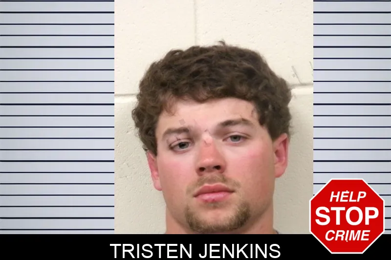 Tristen Jenkins mugshot – Bulloch County , Georgia Tristen Jenkins mugshot