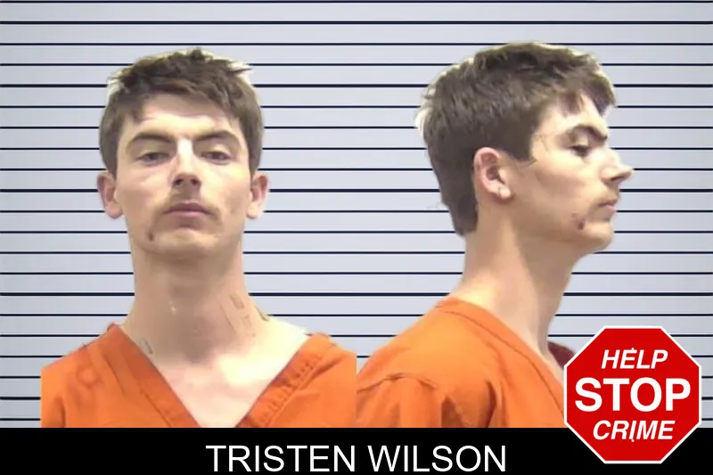 Tristen Wilson mugshot