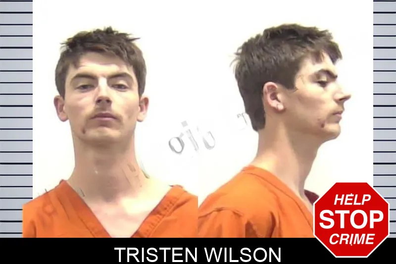 Tristen Wilson mugshot