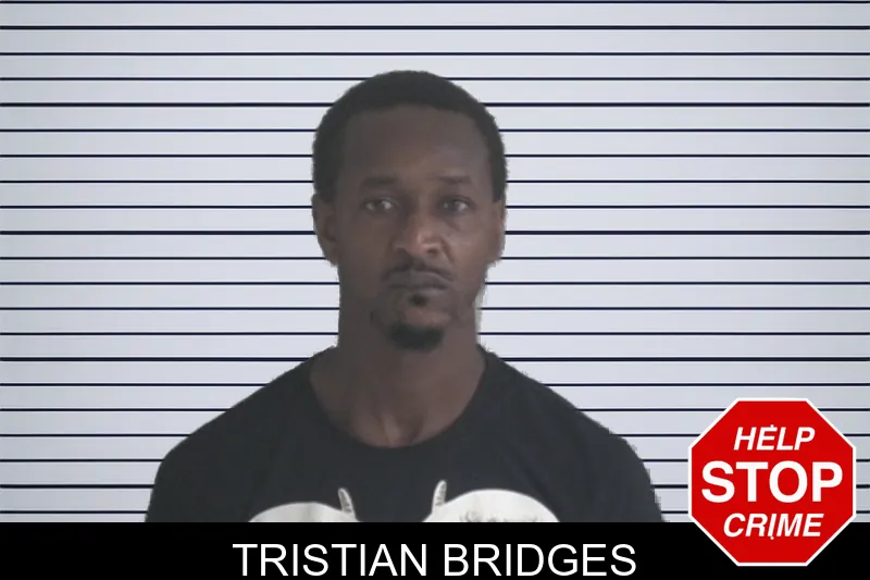 Tristian Bridges mugshot